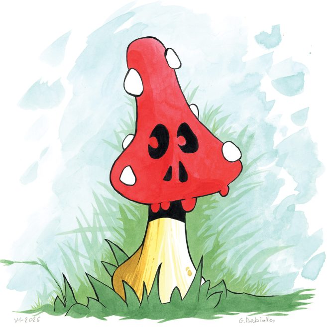 Champignon d&rsquo;Halloween n°3